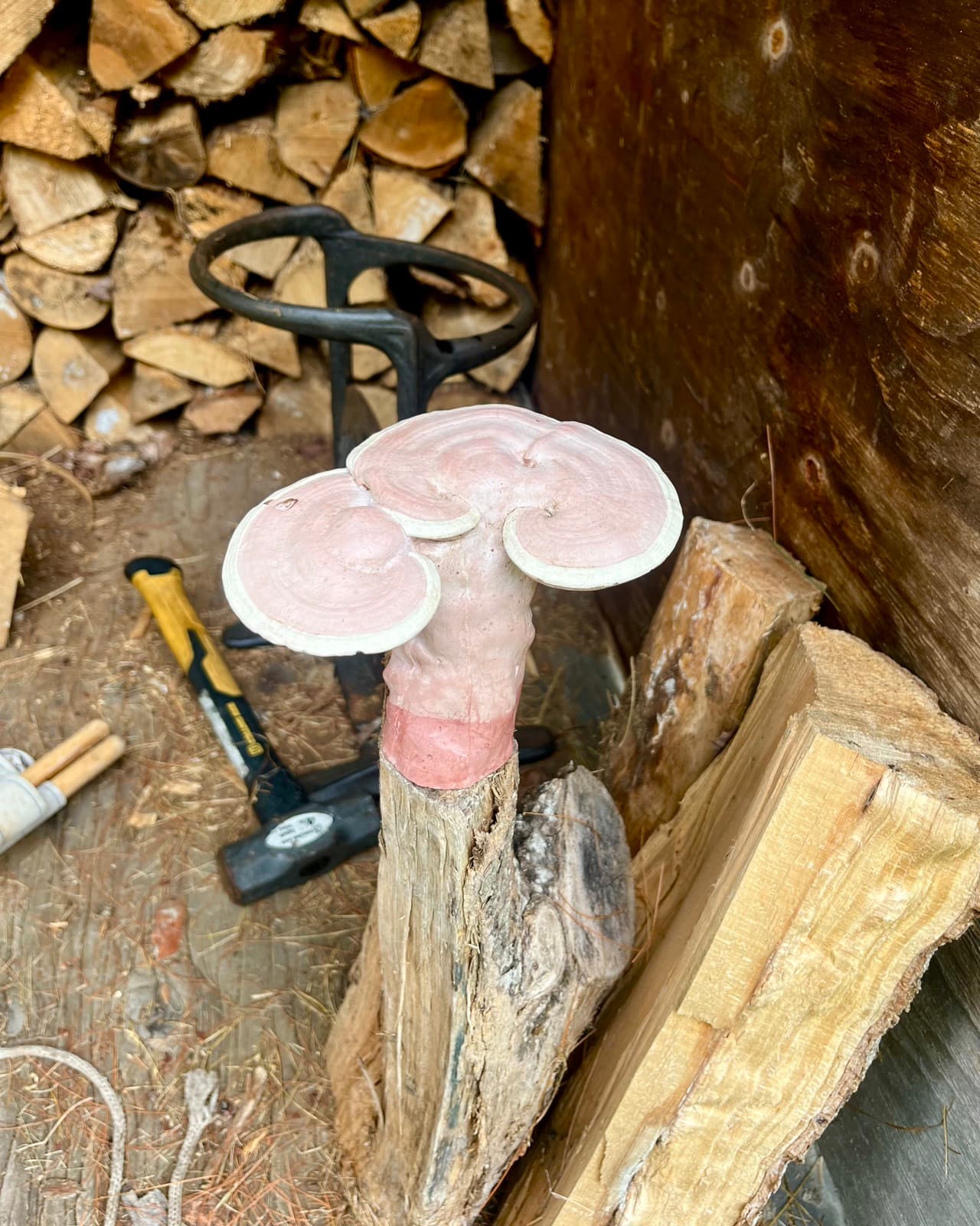 Cast mushroom sculpture set on a split log in the woodshed